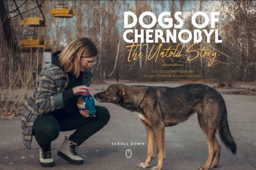 Documentaire les chiens de Tchernobyl.