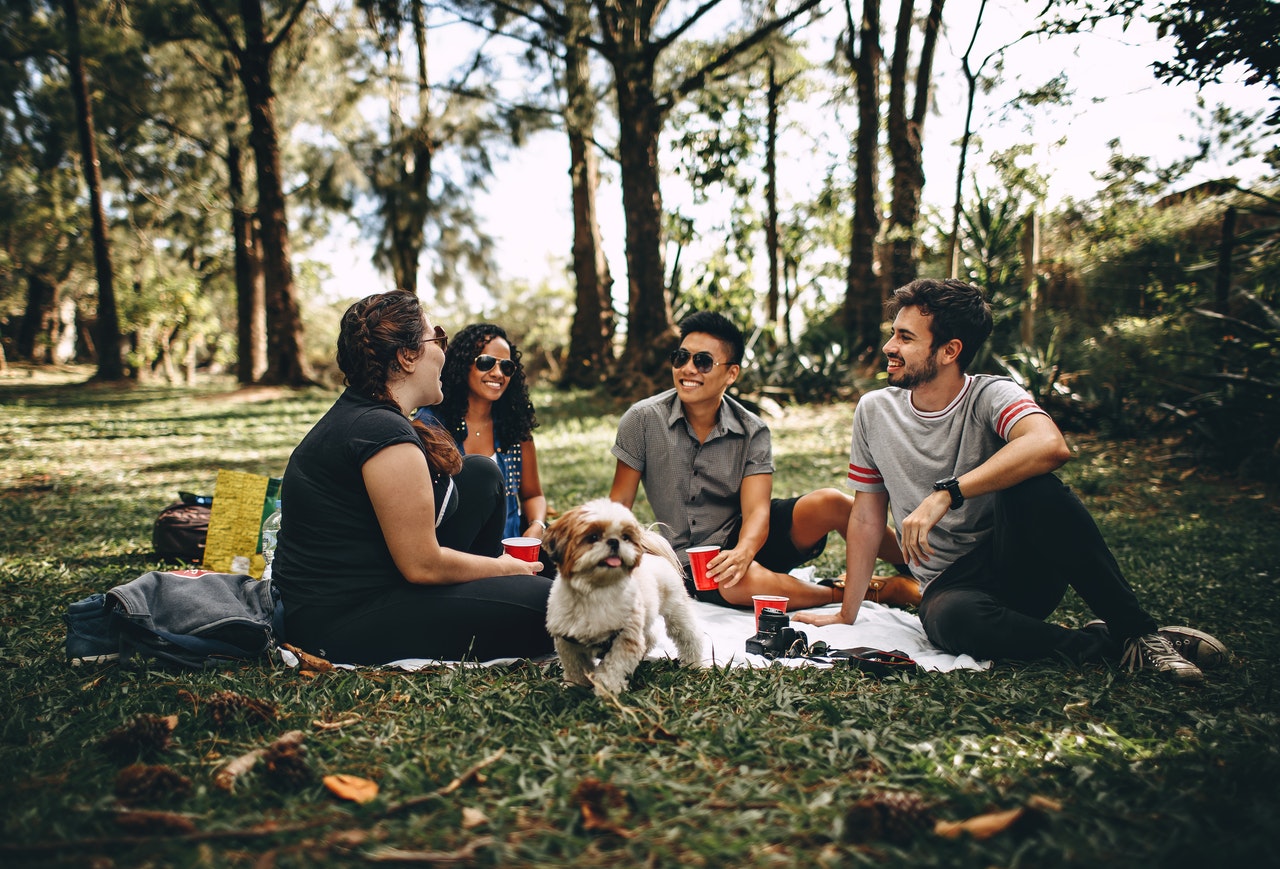 Les espaces canins en ville