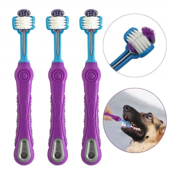 Brosse à dent spéciale chien