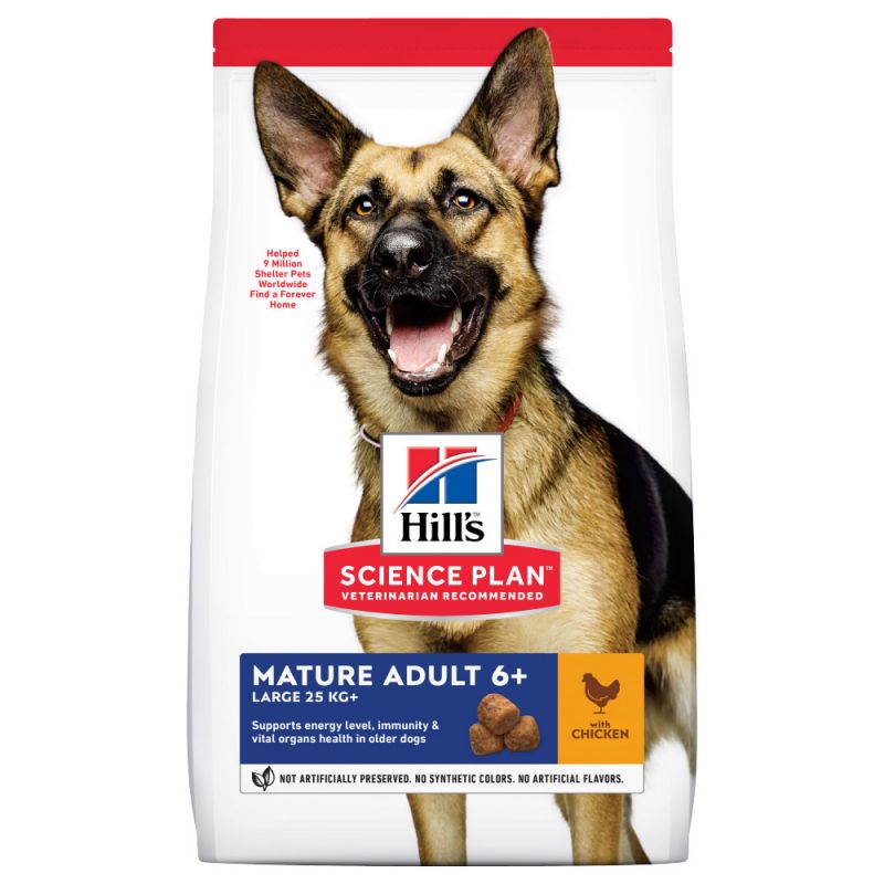 Hill's Science Plan Mature Adult 6+ Large